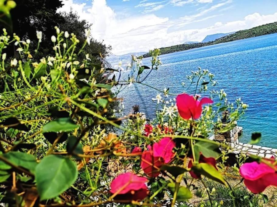 Villa Violeta Lefkada Nydri Zewnętrze zdjęcie